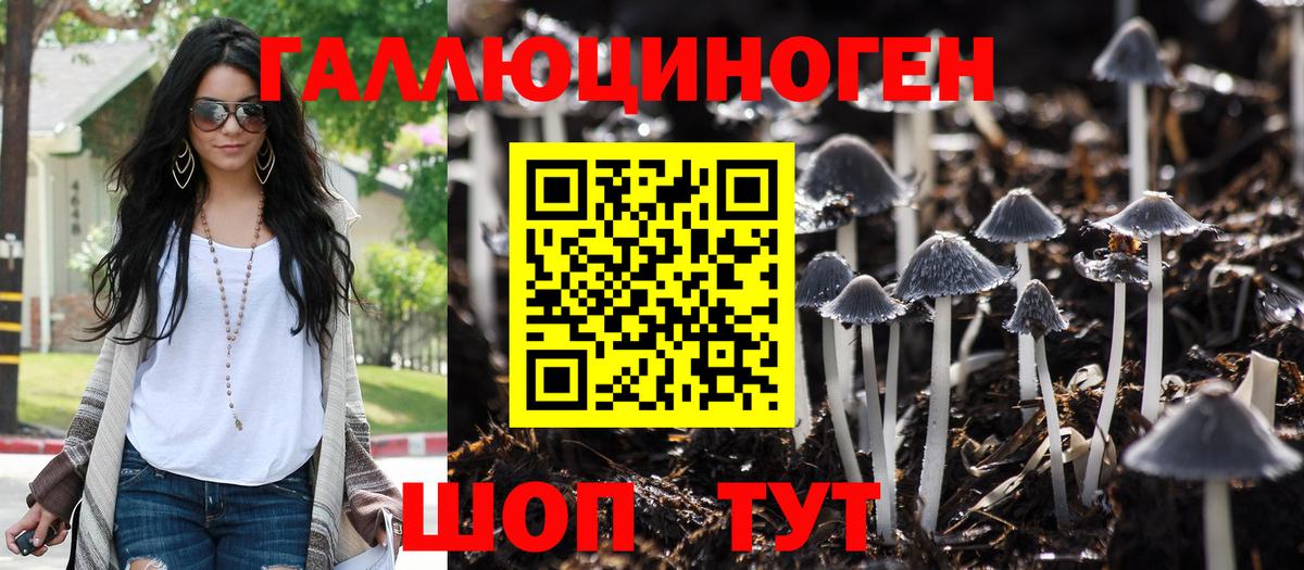 Галлюциногенные грибы мухоморы  Вход с VPN  Новочебоксарск 